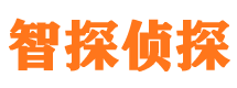 临港捉小三公司